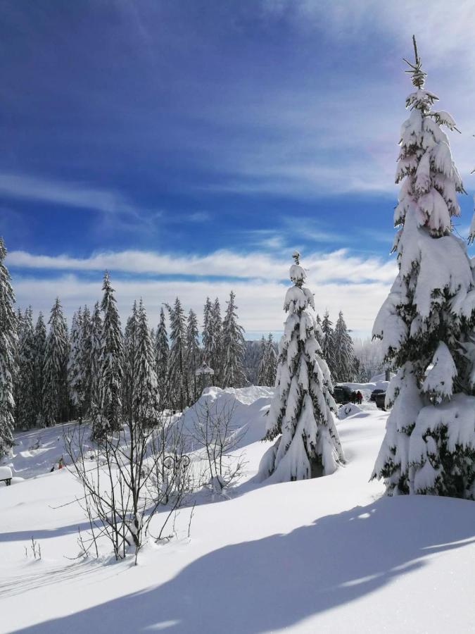 Elitza Villa Pamporovo Exterior foto